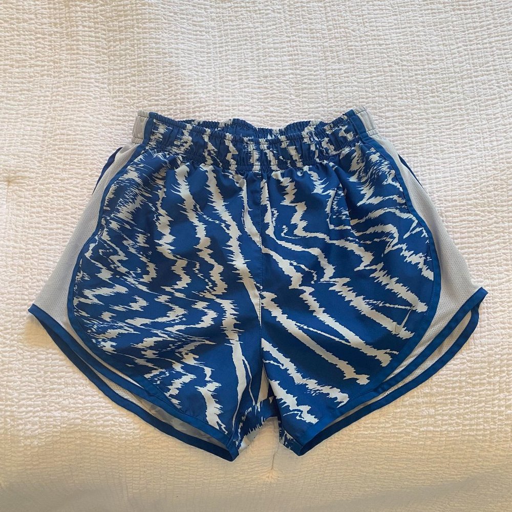 Blue and White NIke Dry-Fit Shorts (Size S)